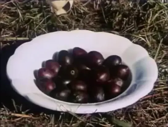 Picknick mit Weissmann \ Пикник с Вайсманном (1968) режиссёр Jan Švankmajer \ Ян Шванкмайер. Чехия