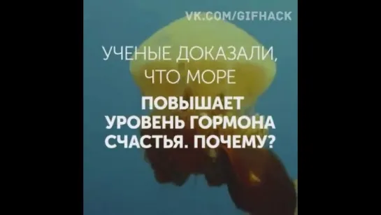 Человеку необходимо море.