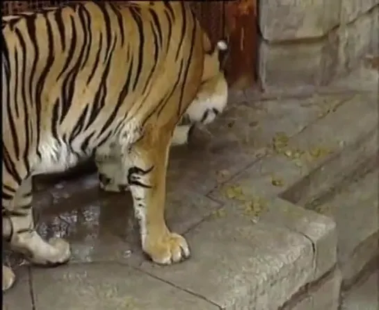 Fort Boyard. 1990. France. # 15.