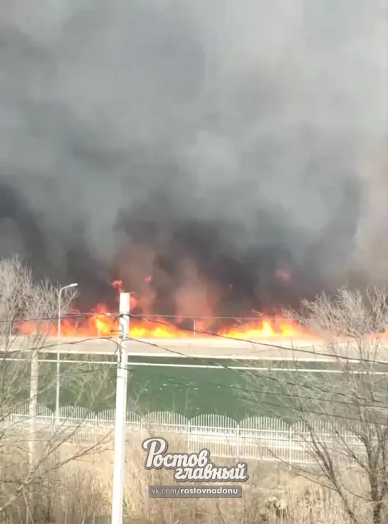 Пожар на левом берегу за гребным каналом 28.3.2020 Ростов-на-Дону Главный