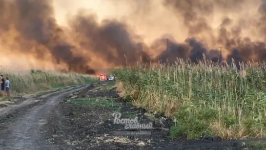 Пожар в полях на Западном 28.8.2018 Ростов-на-Дону Главный