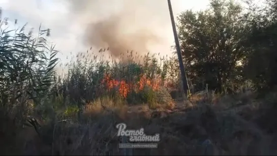 Пожар на левом берегу 21.8.2018 Ростов-на-Дону Главный