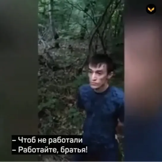 РАБОТАЙТЕ, БРАТЬЯ! 💔