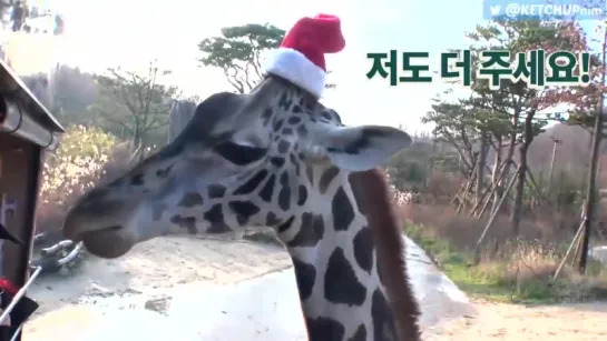 151211 TWICETV2 EP 8