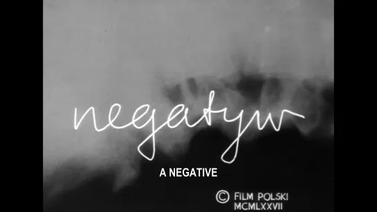 Negative / Negatyw (1977) dir. Andrzej Brzozowski