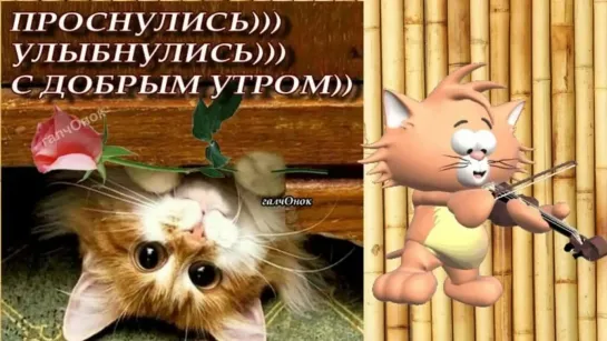 С Добрым Утром 🥚💥🌼☘🎀* Тетя Хая *🎀☘🌼💥🤣