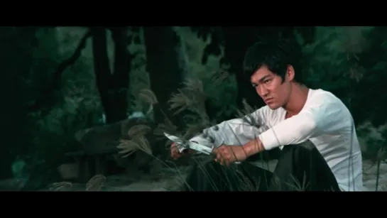 Большой босс / The Big Boss (Брюс Ли / Bruce Lee, Мария Йи / Maria Yi, Джеймс Тьен) (Ло Вэй, Чиа-Сянь Ву) (1971) [HD]