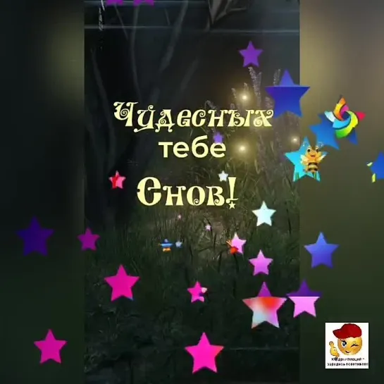 Спокойной ночи✨✨✨