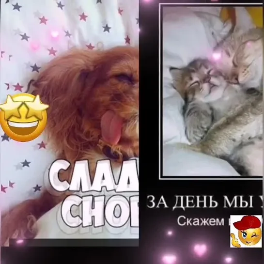 Спокойной ночи✨✨✨