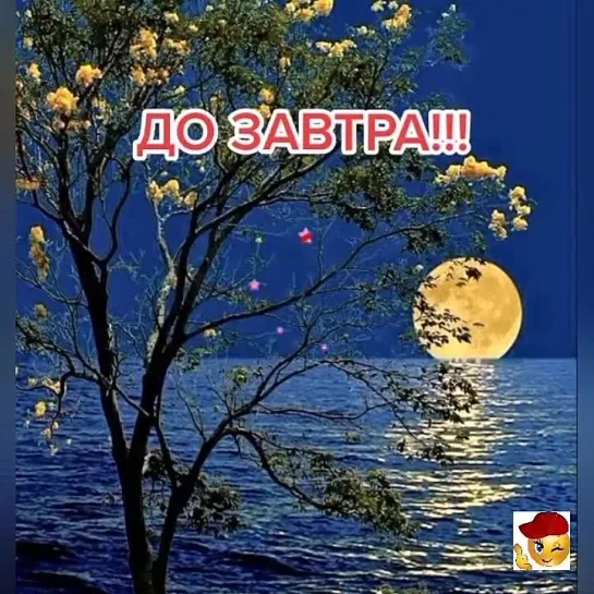 Спокойной ночи✨✨✨