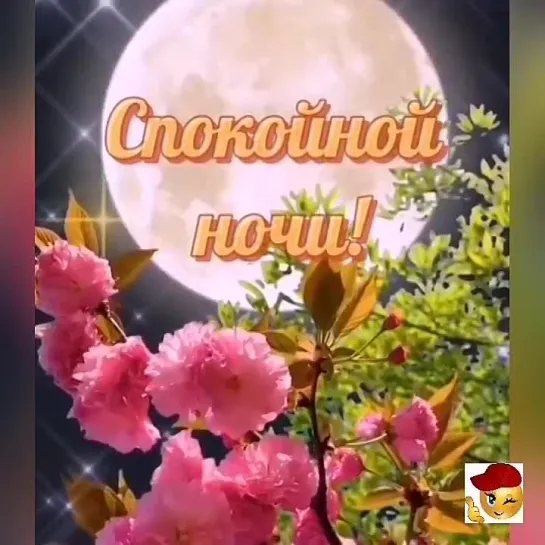 Спокойной ночи✨✨✨