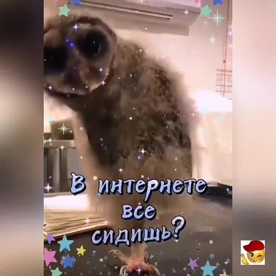 Спокойной ночи😉