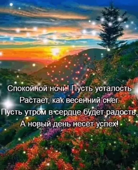 Спокойной ночи✨✨✨