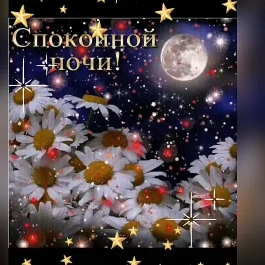 Спокойной ночи✨✨✨