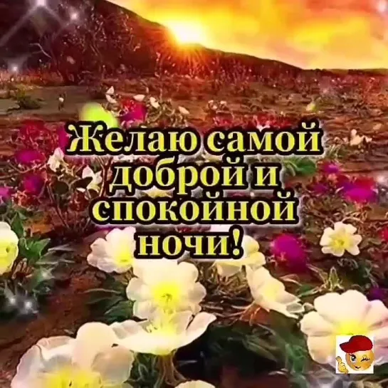 Спокойной ночи🌺