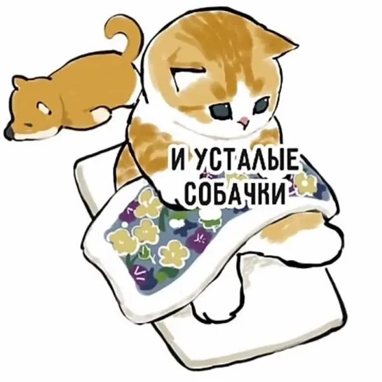 Спокойной ночи😉