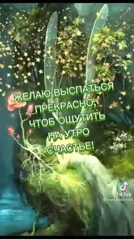 Сладких снов ✨✨✨