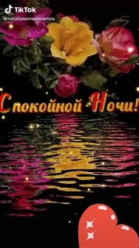 Спокойной ночи✨✨✨