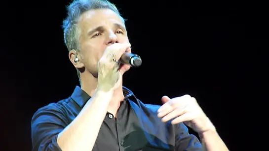 Bruno Pelletier - Fields of Gold (06.11.2017 Москва, Театр «Русская песня»)