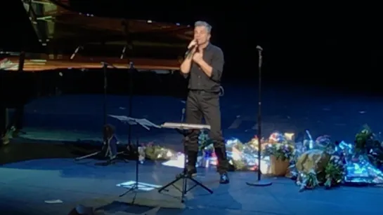 Bruno Pelletier - Fields of gold (06.11.2017 Москва, Театр «Русская песня»).