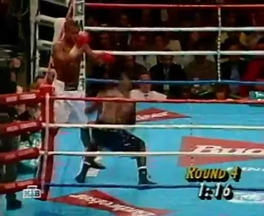 Джеймс Тони vs. Рой Джонс / James Toney vs. Roy Jones Jr