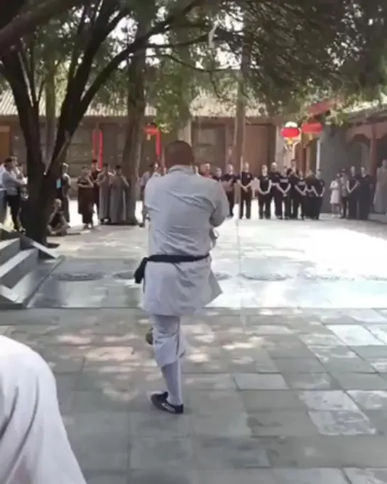 Shaolin jiu jie shuang bian