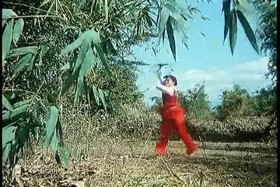 Это Кунг-Фу / This Is Kung-Fu / Zhong Hua Wu Shu (1983)