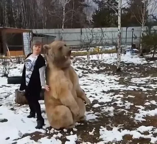 Видео от Татьяны Рябчинской