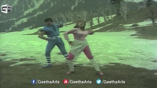 Chakani Chukkala Sandita - Video Song - Pasivadi Pranam \ Маленький свидетель - Chiranjeevi, Vijayasanthi, Sumalatha