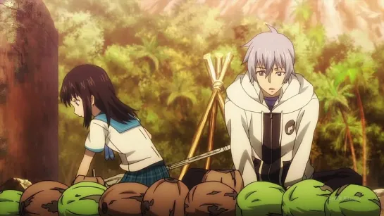 Strike the Blood|Удар Крови 10 серия [JAM & Ancord & NikaLenina]