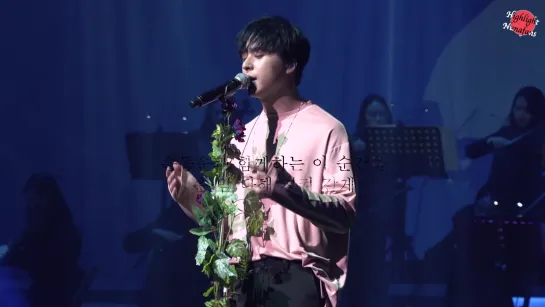 [FANCAM] 27-28.04.19. SON DONGWOON LIVE 2019 [The Orchestra] Curtain Call (4K multi)