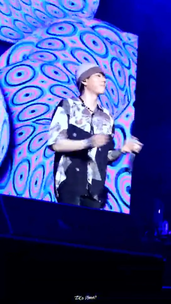 190615 ZICO - Behind The Scene (천재) (@ Seoul Park Music Festival 2019)