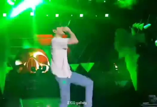 190427 ZICO - 말해 yes or no (@ Hiphopplaya Festival) #4