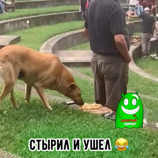 Видео от Добрый юмор