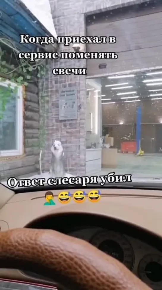 Соблюдайте скоростной режим