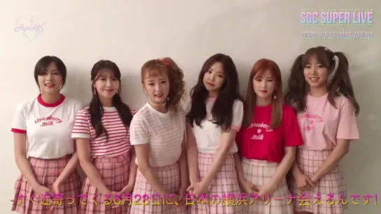 [OFFICIAL] A PINK - 13TH FASHION SHOW & CONCERT "SGC: SUPER LIVE IN JAPAN 2O17" GREETING MESSAGE [17O531]