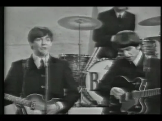 The Beatles - She Loves You