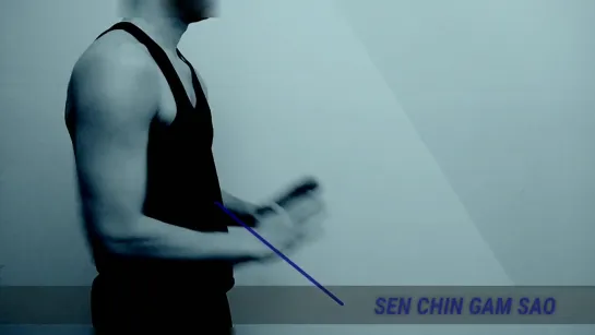 Stikhiya Wing Chun.Siu Nim Tao. Векторная модель техники.