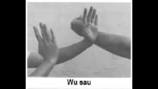 Wing Chun The 18 Hands of Wing Chun