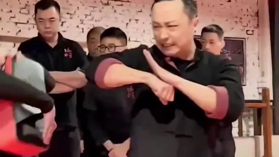 WING CHUN and KRAV MAGA Techniques _ Master Tu Tengyao  Michael Quach