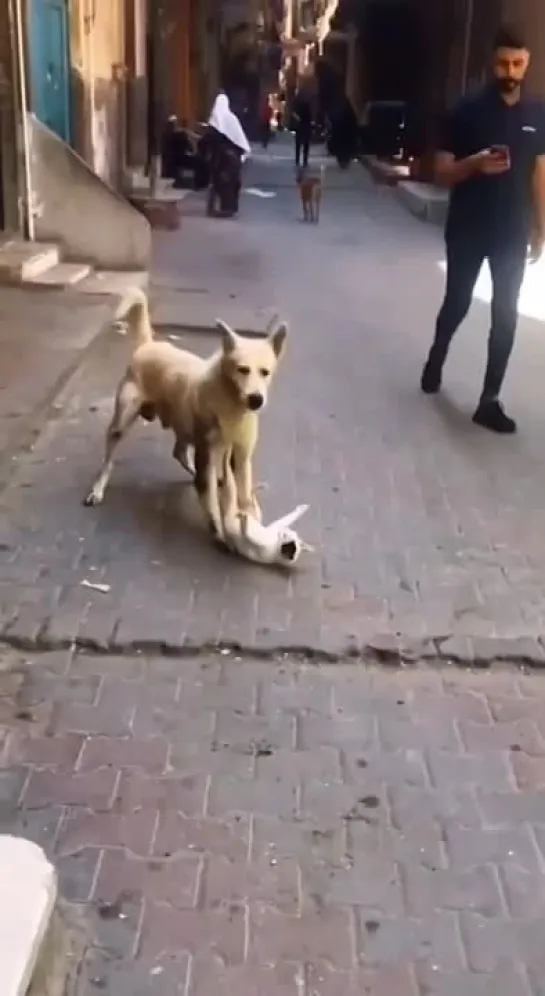 Видео от Александра Уралова