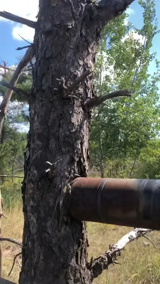 Видео от Сила в правде