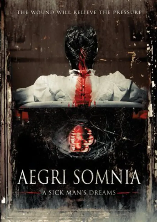 Aegri Somnia (2008)