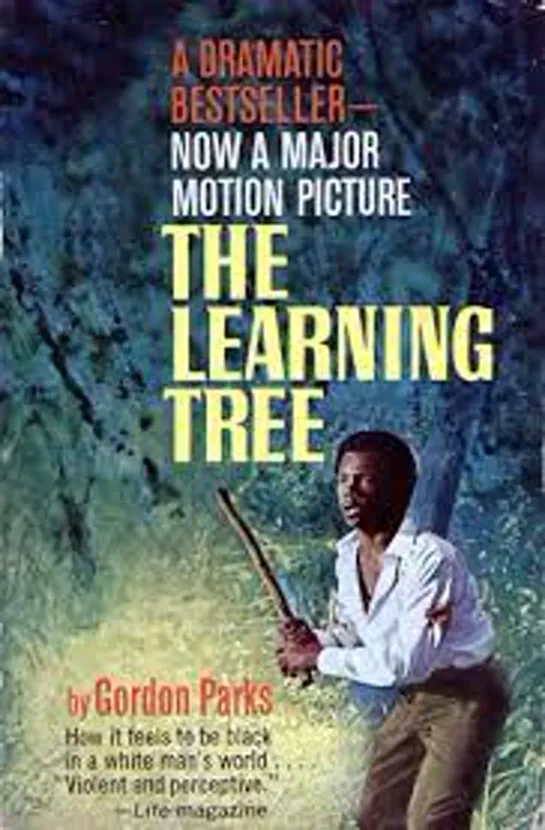 The Learning Tree (1969) -1080p- Kyle Johnson, Alex Clarke, Estelle Evans