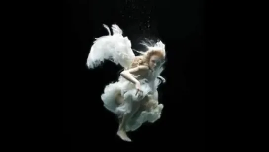 Photos by  Zena Holloway