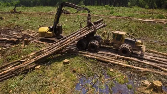 Tigercat skidder and logger