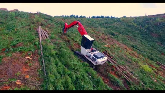 logging in the Pacific NW.