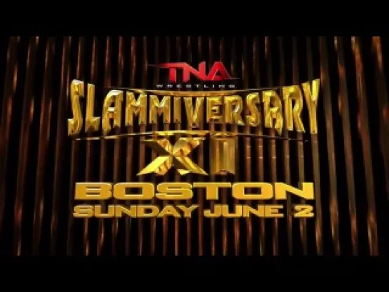 PPV TNA Lockdown 2013 (TNATION.RU)