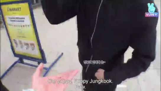 PUPPY JUNGKOOK - young forever