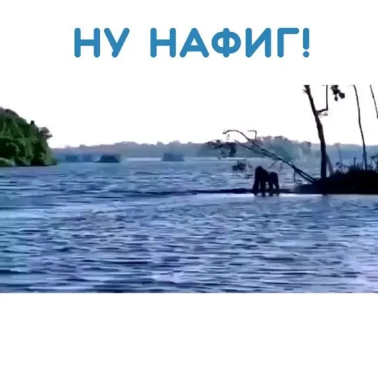 Холодная водичка